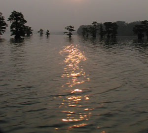 Sunrise on Reelfoot